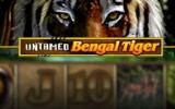 Untamed Bengal Tiger