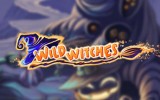 Wild Witches